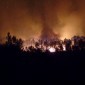 Überall wurde in den Medien von den verheerenden Busch- und Waldbränden im Zentrum Portugals berichtet. Über 60 Menschen starben in dem großen, mit 4000 Menschen dünn besiedelten Waldgebiet.